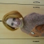 Марина Смирнова