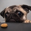 ℒℴѵℯღАнька  суперℒℴѵℯღ