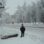 Женя Захаров