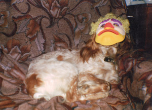 Image-05