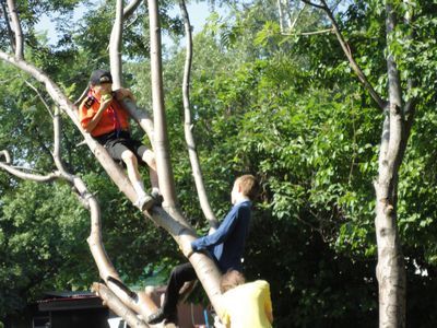 b2ap3_thumbnail_DSC06210_.jpg