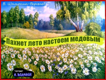 Виктор Шамонин-Версенев СТИХИ И СКАЗКИ