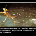https://forms.lotsman.ru/images/groupphotos/106/681/thumb_00e86c4bf210aa8ac2eeed63.jpg