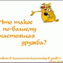 Снбю.имок