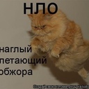 5703