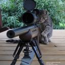 Sniper_Cat