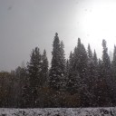 DSC00113
