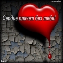 сердце