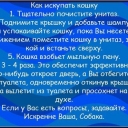 23.