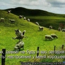 Приколы