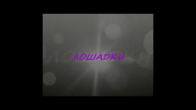 Лошадки