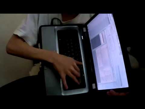 АккордЕон на буке