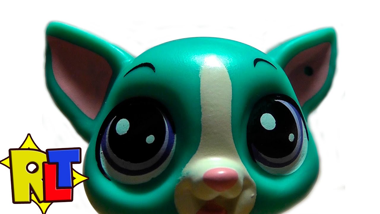 Игрушка котенок  играем, изучаем / petshop, toy kitty play, study
