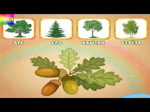 Развивающие мультфильмы учим названия деревьев 