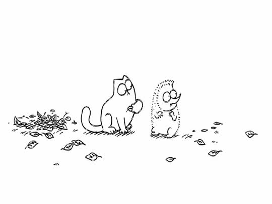 Саймон кот6
