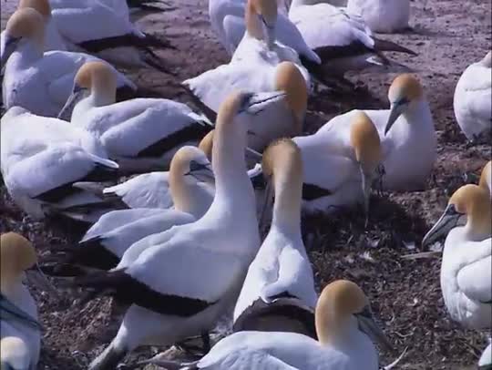 живая природа