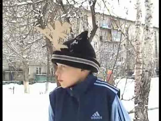 Лесной олень