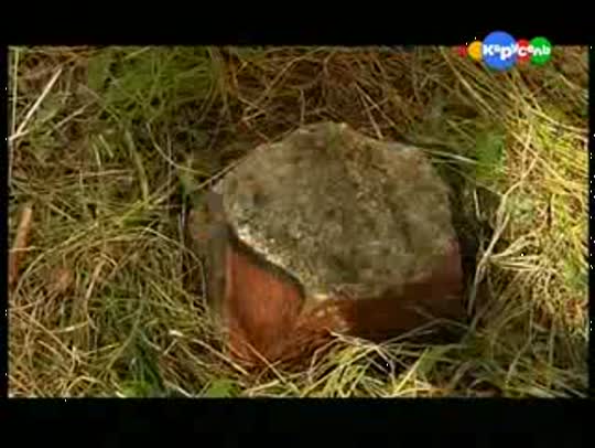 Летние приключения отчаянных 5серия