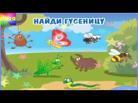 Учим названия животных