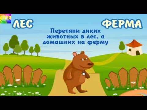 Мультик про животных. Кто, где живет