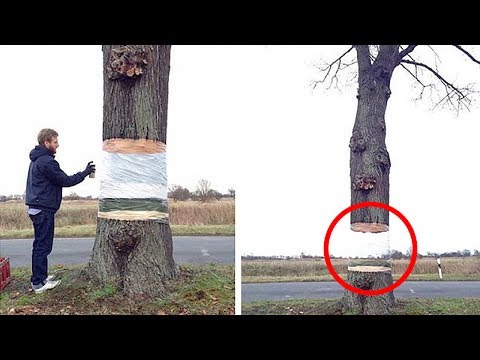 5 самых невероятных оптических иллюзий в уличного творчества
